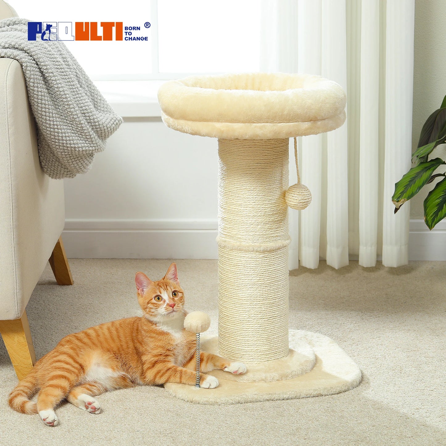 Unique Design Cat Scratching Post Easy To Assemble For Indoor Cats