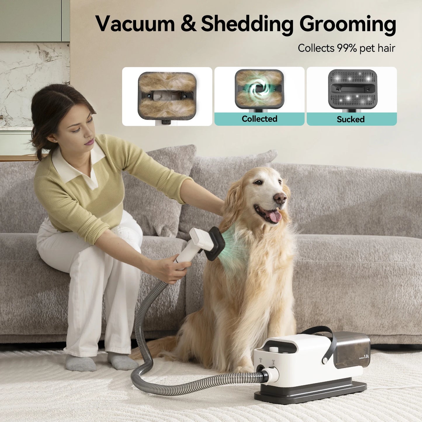 P1 Vacuum Cleaner and Hair Dryer
