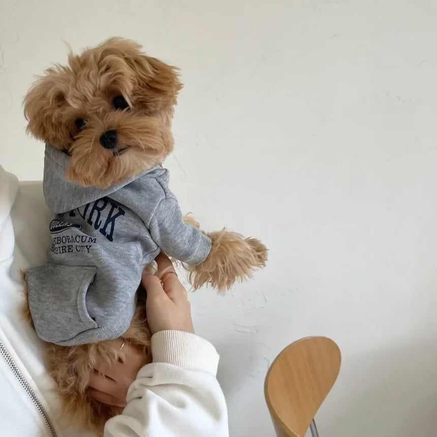Autumn Winter Pet Sweatshirts for Bichon Frise Teddy Letter Print Hoodie Fleece