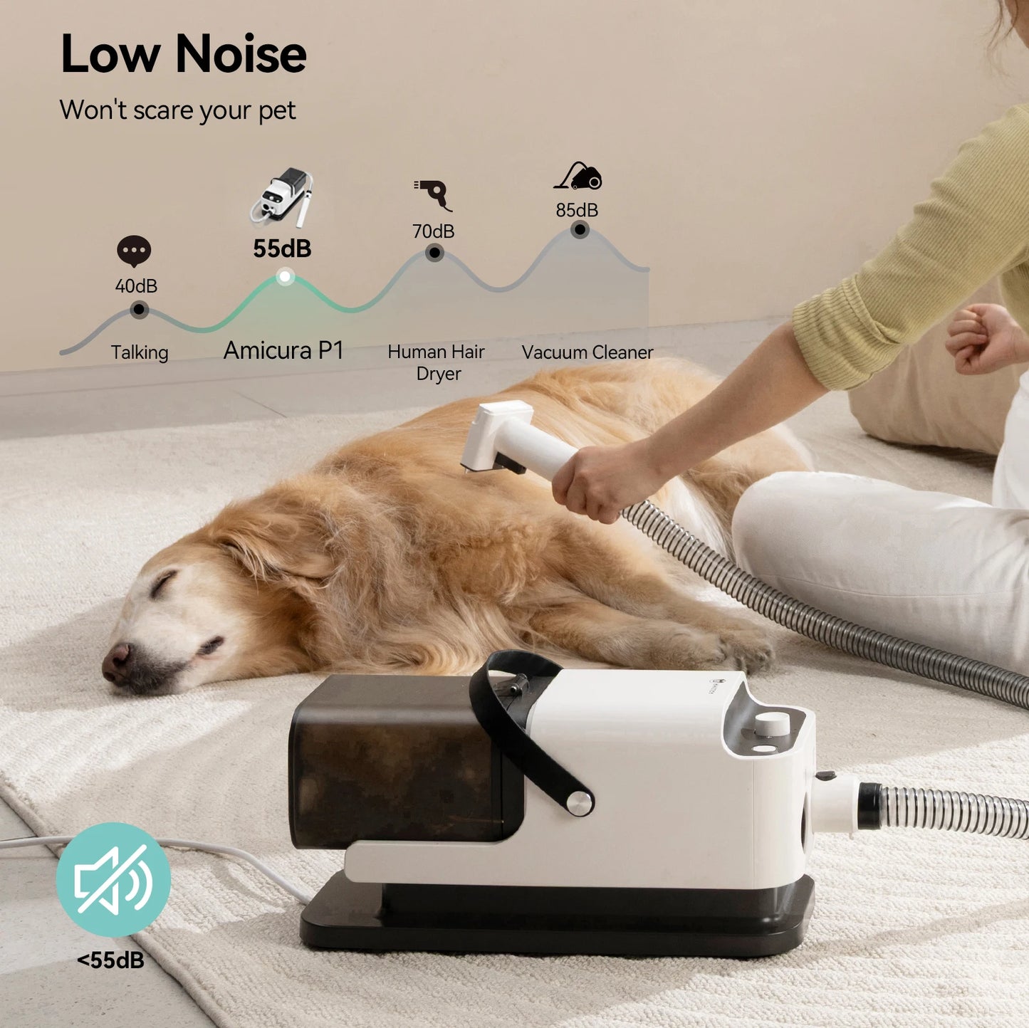 P1 Vacuum Cleaner and Hair Dryer
