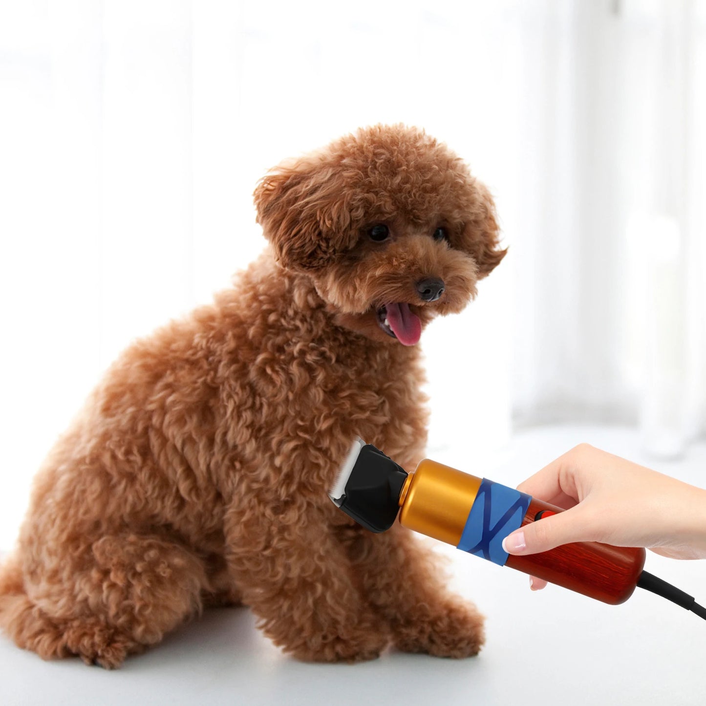 Pet Hair Clipper Low Noise Pro Electric Variable Speed