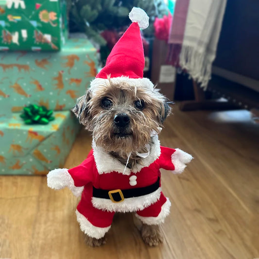 Christmas Dog Costume Santa Claus Outfit For Small Medium Dogs Cats