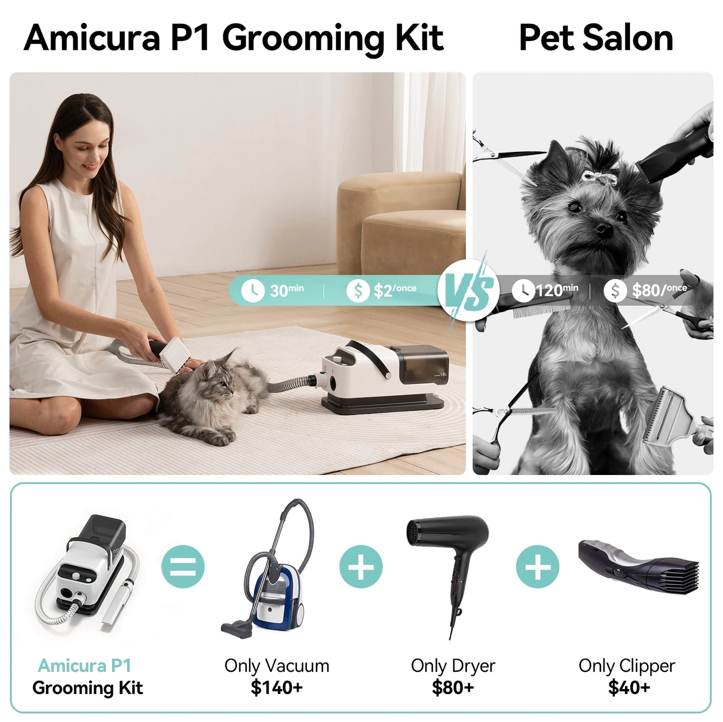 P1 Vacuum Cleaner and Hair Dryer