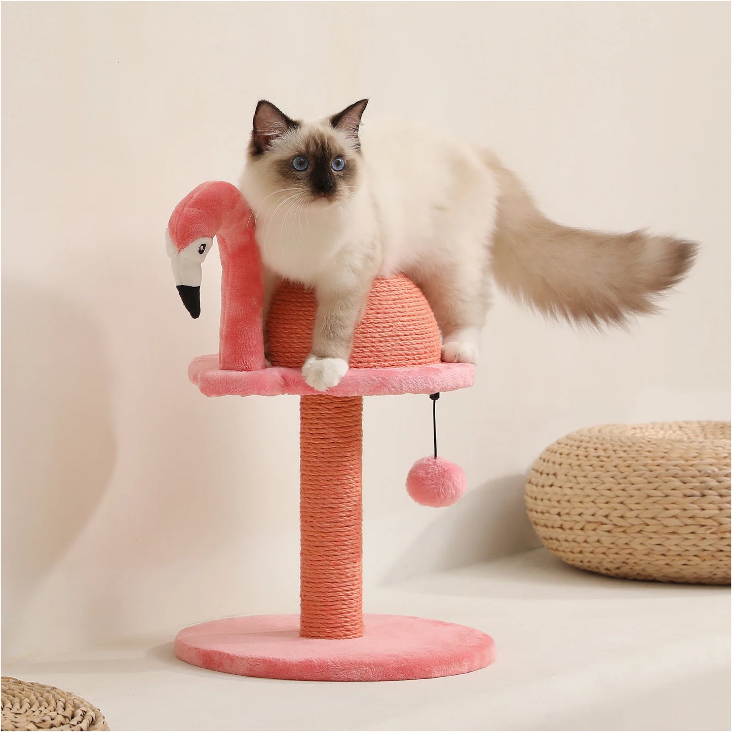 Unique Design Cat Scratching Post Easy To Assemble For Indoor Cats