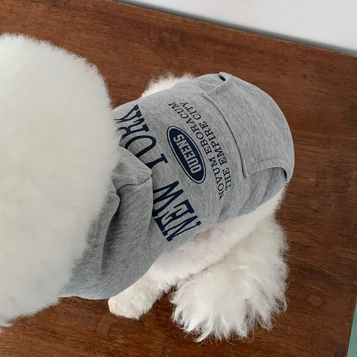 Autumn Winter Pet Sweatshirts for Bichon Frise Teddy Letter Print Hoodie Fleece