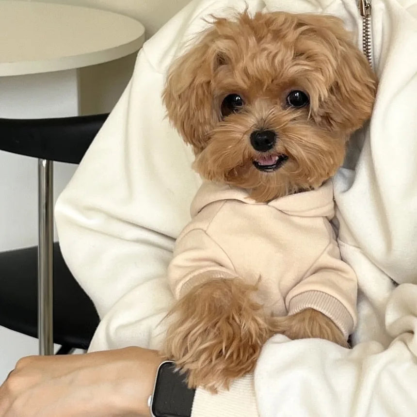 Autumn Winter Pet Sweatshirts for Bichon Frise Teddy Letter Print Hoodie Fleece