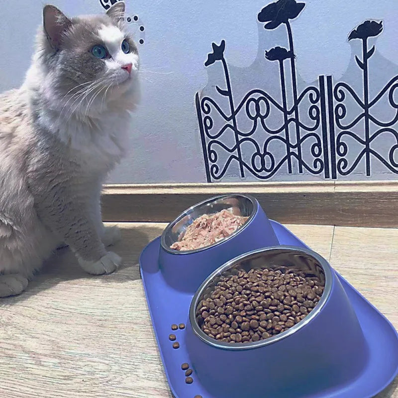 Stainless Steel Double Dog and Cat Bowl with Non-Slip Base Removable Plastic Food and Water Feeder for Puppies and Kittens