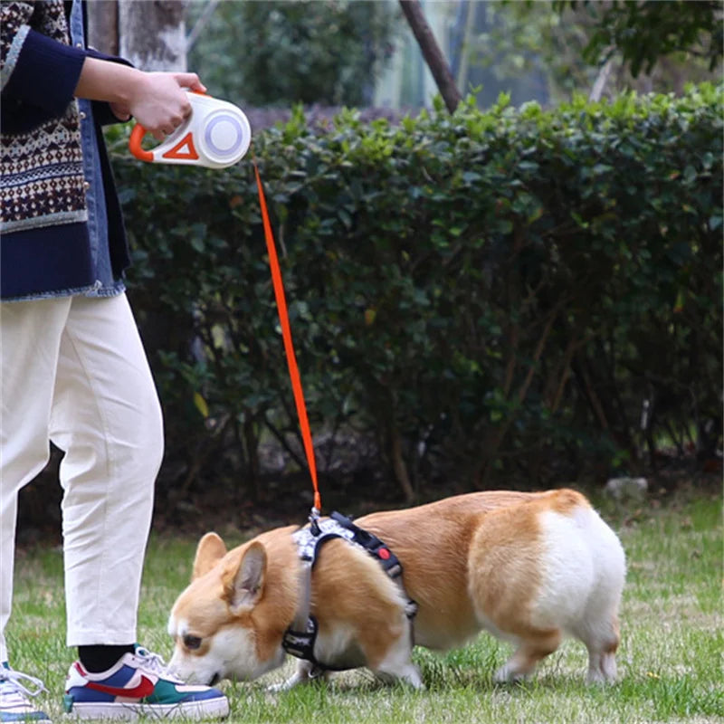 Automatic Retractable Dog Leash With LED Light And Durable Nylon
