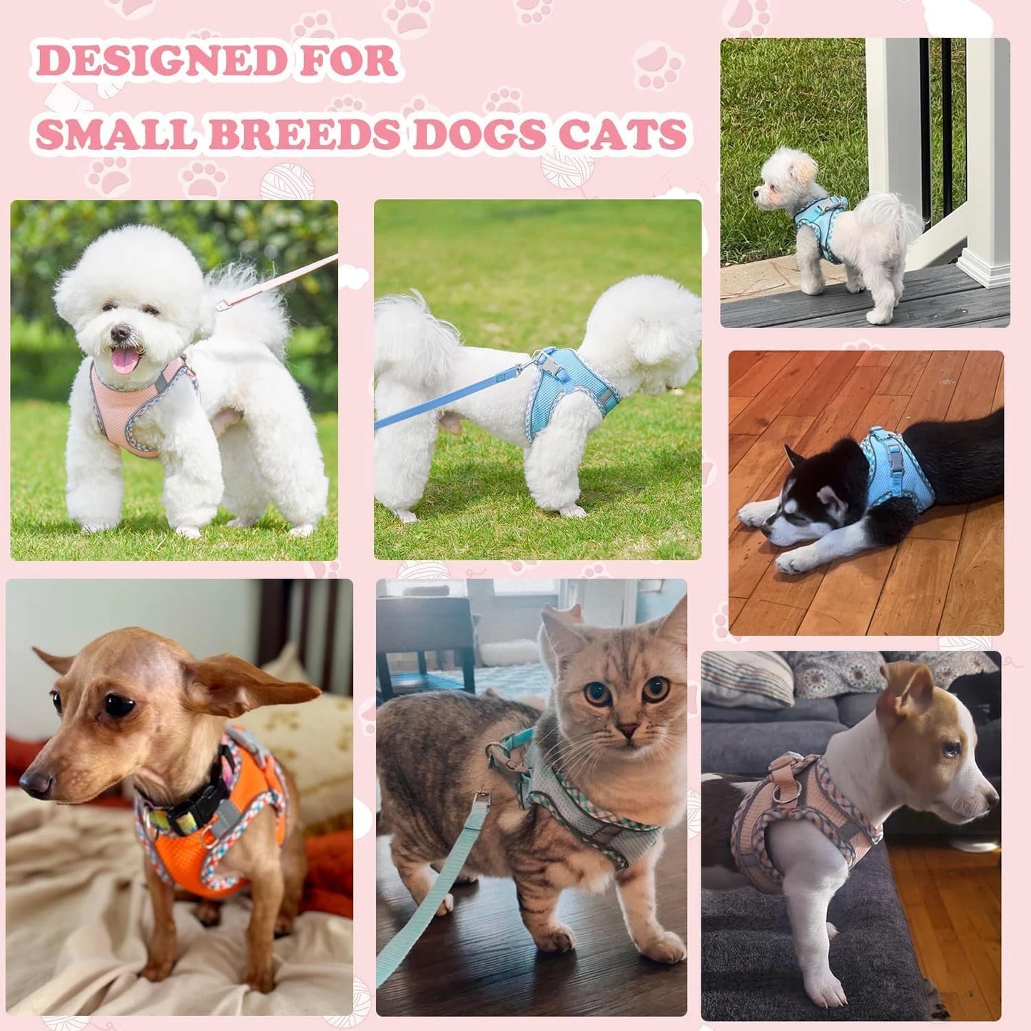 Small Medium Cozy Secure Reflective Adjustable Dog Harness Leash Set No Pull Step In Vest for Safe Walking