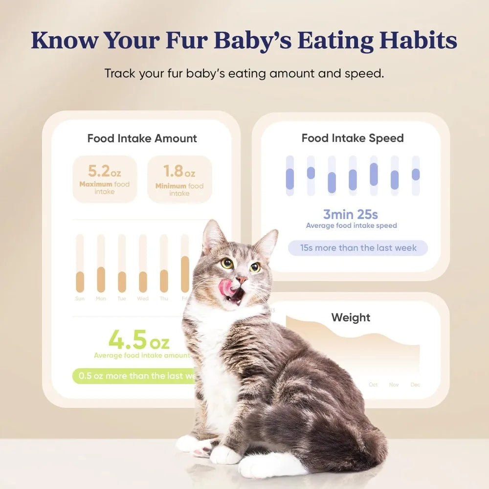 Automatic Cat Feeder WiFi Smart Scale Tracks Pet Food Intake App Remote Feeding Stainless Steel Bowl Dual Power Supply