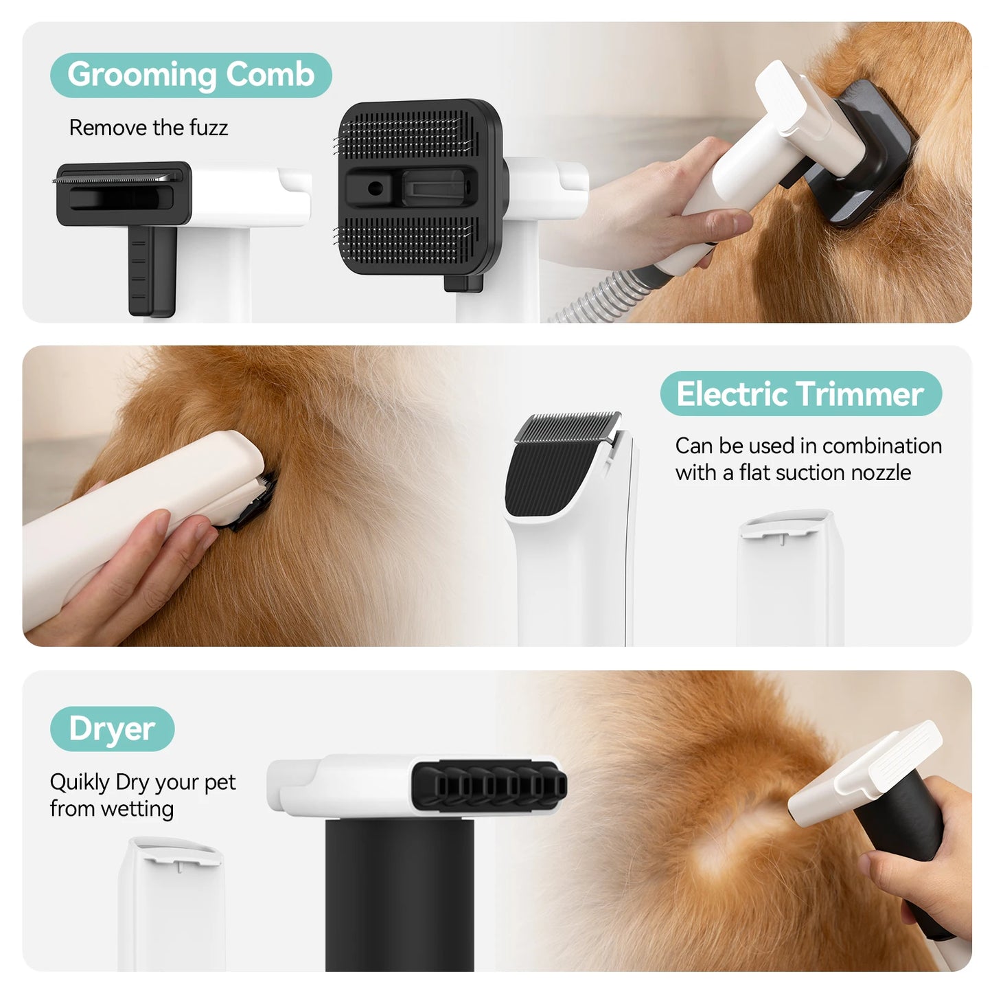 P1 Vacuum Cleaner and Hair Dryer