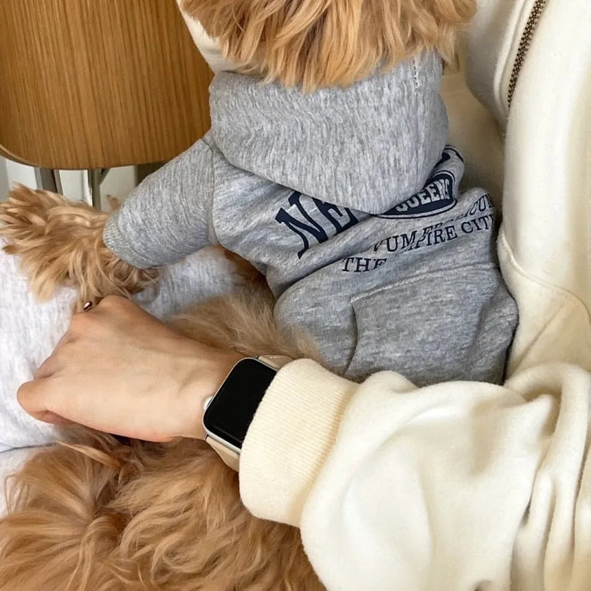 Autumn Winter Pet Sweatshirts for Bichon Frise Teddy Letter Print Hoodie Fleece